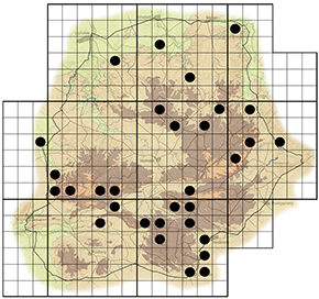 Grewia occidentalis Waterberg distribution